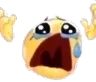 emojicryyell