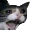 Catscream catscream Discord Emoji