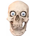 skull