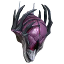 NidusPog