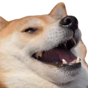 hehe