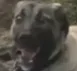 kopewk kopewk