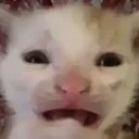 AHHHH