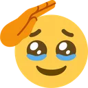 saluteHoldingBackTears
