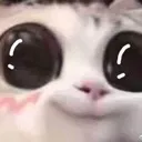 aos_catboba