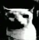 catptsd