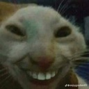 hehe