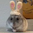 bunnyham