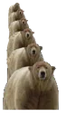 masterystackerstackerstackerstac