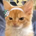 mariangy