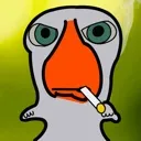 harshpelican