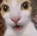 emoji_78