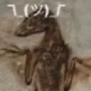 fossilShrug