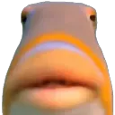 feshgrin_gif feshgrin_gif