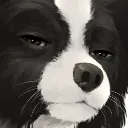 PickleStare