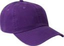 Purple_cap_fsoi