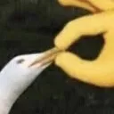 SHUT