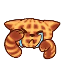 caffle_cry