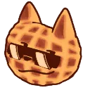 caffle_sunglasses