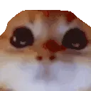 RAGEY