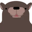 carbear carbear