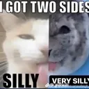 sillyandverysilly