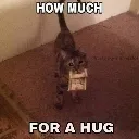 howmuchforahug