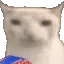 CatNom