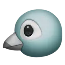 bird