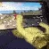elgatogaming