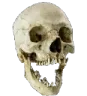 skulll