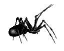 8271spider1 Discord emoji