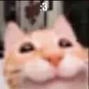 3_