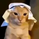 habibi habibi