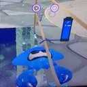 squid