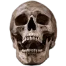 skullagony