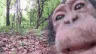 monke