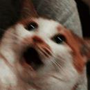 SG_gatosorprendido Discord emoji
