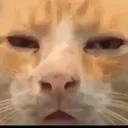 whar