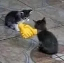handshake handshake