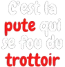MnC_texte_pute