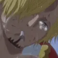 SanjiCry