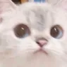 stare