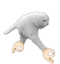 walcat