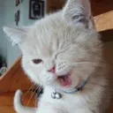 wink