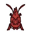 theshrimpshaker theshrimpshaker
