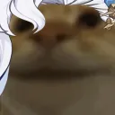 NeuvCatNod