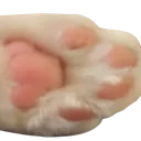dr_felixtoes