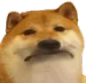 scp393