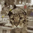 cat_dance
